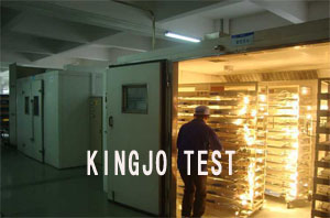 步入式高低溫試驗室，電子電工專用係列